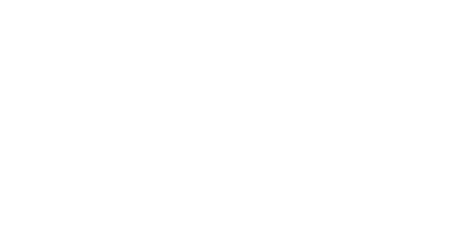 Spring Store