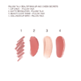 LabelledSwatch-PT_BEAUTIFYING_LIP_AND_CHEEK_SCRETS